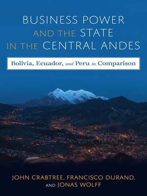 cover image of Business Power and the State in the Central Andes